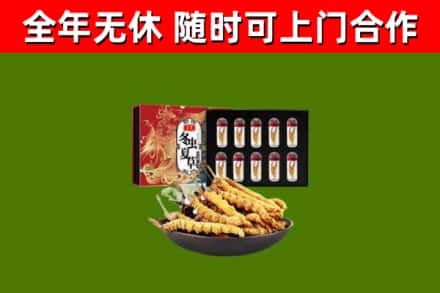 邵武市烟酒回收冬虫夏草礼盒.jpg